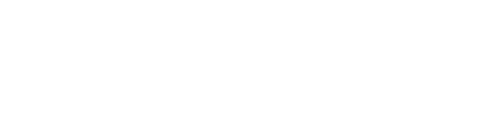 SST NET vit